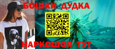 крисы Кунгур