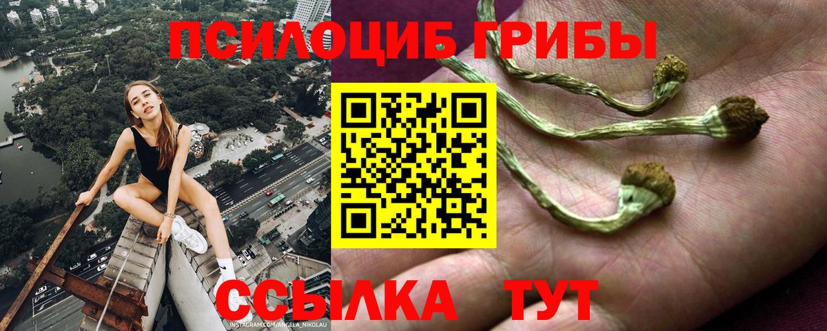 Галлюциногенные грибы Magic Shrooms  Вход с VPN  Щёлково  Галлюциногенные грибы GOLDEN TEACHER 